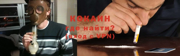 индика Армянск