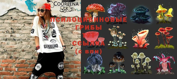 сатива Алексин