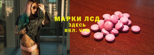 индика Армянск