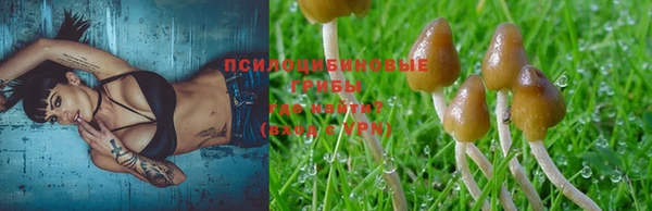 МДМА Арсеньев